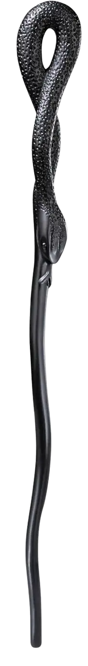 baguette de Peter Pettigrow